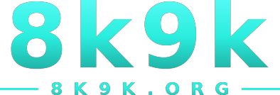 8k9k logo